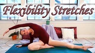 Stretches To Improve Flexibility - 8 Minute Basic Dance & Ballet Stretch Exercise Routine