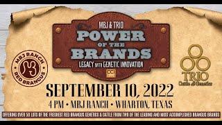 MBJ ON THE ROAD TBBA Field Day August 20th at Cavenders Neches River Ranch