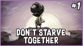 Starting My First Solo World  Dont Starve Together - Solo World #1