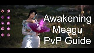 BDO Awakening Meagu PvP Guide