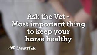 Ask the Vet - Most important thing to keep your horse healthy