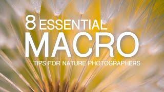 My 8 Essential Macro Photography Tips for Nature Photographers