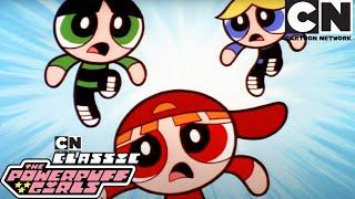 SUNDAY COMPILATION  The Powerpuff Girls Classic  Cartoon Network