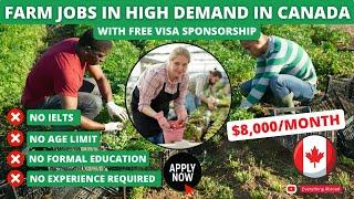 Farm Jobs In Canada With Free Visa Sponsorship In 2024  No Education No Experience Required