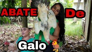 ABATE DE GALO CAIPIRAGALO GRANDE#ABATE DE BOTA+GALINHAPELEI TUDO