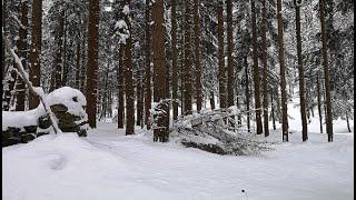 Beyond the Walls in the Land of Eternal Winter