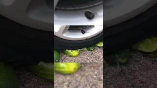 Experiment  Car vs Fruits Crushing Crunchy & soft Things by Car  #crushing #crushingcrunchy #carvs