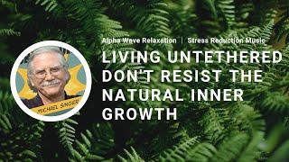 Living Untethered and Dont Resist the Natural Inner Growth  Michael Singer  Alpha Wave Relaxation