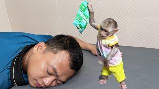 Cute monkey Max doesnt want  bother dad when hungry.