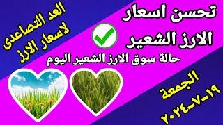 اسعار الارز الشعير اليوم اسعار الارز الابيض ومخلفات الارز واسعار الذرة والصويا اليوم