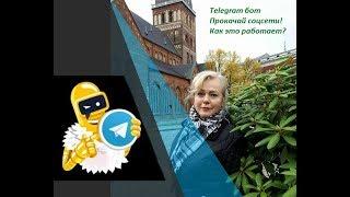 BROBOT Oбзор Telegram бота