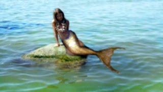 A mermaid was caught on video. Mermaids exist
