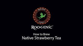 Roogenic Native Strawberry Brewing Tutorial