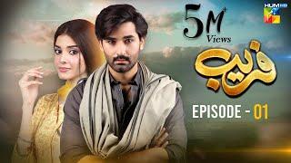 Fareb - Episode 01 - 7th May 2023 -  Zain Baig Zainab Shabbir  Maria Wasti  HUM TV