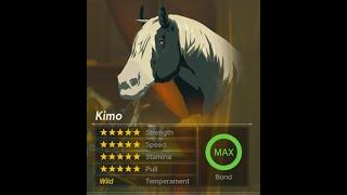 Tears of the Kingdom -  Horse Enhancements Menus and Recipes Made Easy