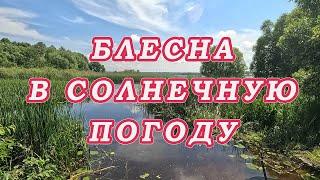 БЛЕСНА В Солнечную Погоду ЛОВИТ Когда ДРУГИЕ ПРИМАНКИ МОЛЧАТ Достойные Щуки в бесклёвье