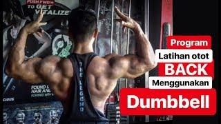 Latihan otot punggung Buat pemula menggunakan Dumbbell  Freedy scitec nutrition indonesia