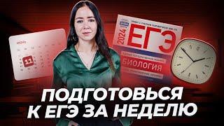 ЛУЧШИЙ способ подготовиться к ЕГЭ по биологии за неделю  Умскул