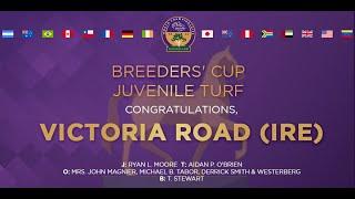 2022 Breeders Cup Juvenile Turf - Victoria Road