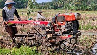 Dua 2 Joki Traktor Sawah Kerjasama Bergantian Membajak Lahan Garapan