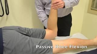 Femoral Stretch Test