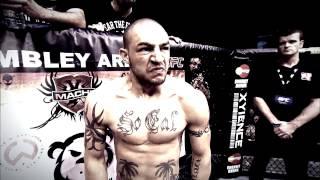 Cub Swanson Beautiful Destruction S.M.S Productions