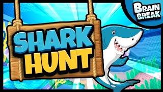 Going on a Shark Hunt  Brain Break  Bear Hunt  Brain Breaks for Kids  Danny Go Noodle