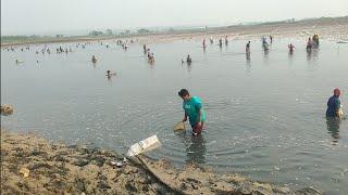 PANEN RAYA WADUK MBOWO