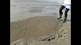 Little girl plays in quicksand