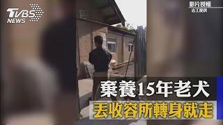 無情！棄養15年老犬 丟收容所轉身就走