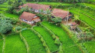 MANTAP SUHU‼️SUASANA PERKAMPUNGAN DI SUNDA BIKIN BETAH DI RUMAH BIKIN SENSASI TIADA DUANYA