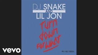 DJ Snake Lil Jon - Turn Down for What Audio