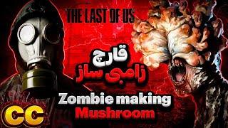 آخرالزمان و قارچ زامبی ساز zombie fungus