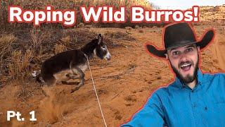 Roping Wild Burros On Navajo Reservation pt. 1 Vlog #32