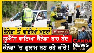 Canada Punjabi News Bulletin  August 14 2024   TV Punjab