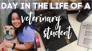 DAY IN THE LIFE OF A VET STUDENT *covid edition*