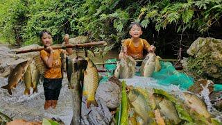 Fish trapping technique an orphan boy uses bamboo to make fish traps in streams to sell