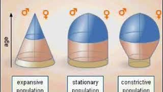 Age structure of populations