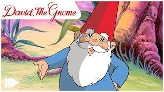 David the Gnome - 01 -  David the Gnome  Full Episode 