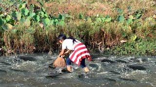 Khmer cast net fishing - Net Fishing at kampong cham Province - Cambodia Traditional fishing #02