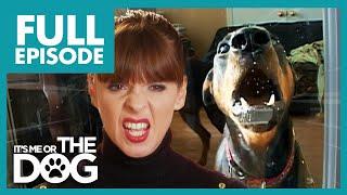 Victoria Tries to Tame Two Unruly Dobermans  Full Episode  Its Me or The Dog