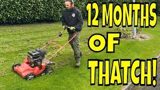 Rubbish Lawn? TITIVATE Your Lawn Instead Of The Whole 9 Yards