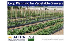 Crop Planning for Vegetable Farmers