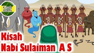 Nabi Sulaiman A S - Kisah Islami Channel