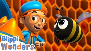 Blippi Wonders - Honey Bees  Blippi Animated Series  Cartoons For Kids