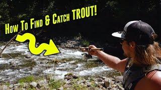 How To Catch TROUT In Creeks Rivers Or Streams.  Trout Fishing Tips For SUCCESS