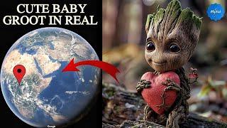 Cute Baby Groot found on google earth and google maps #mystisk #googleearth