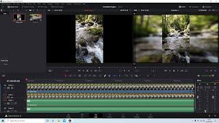 Davinci Resolve How to Make A VerticalPortrait Video With Blurred BackgroundSides.
