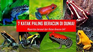 7 Katak Paling Beracun di Dunia yang Belum Banyak Diketahui