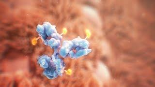 Antibody drug conjugates animation